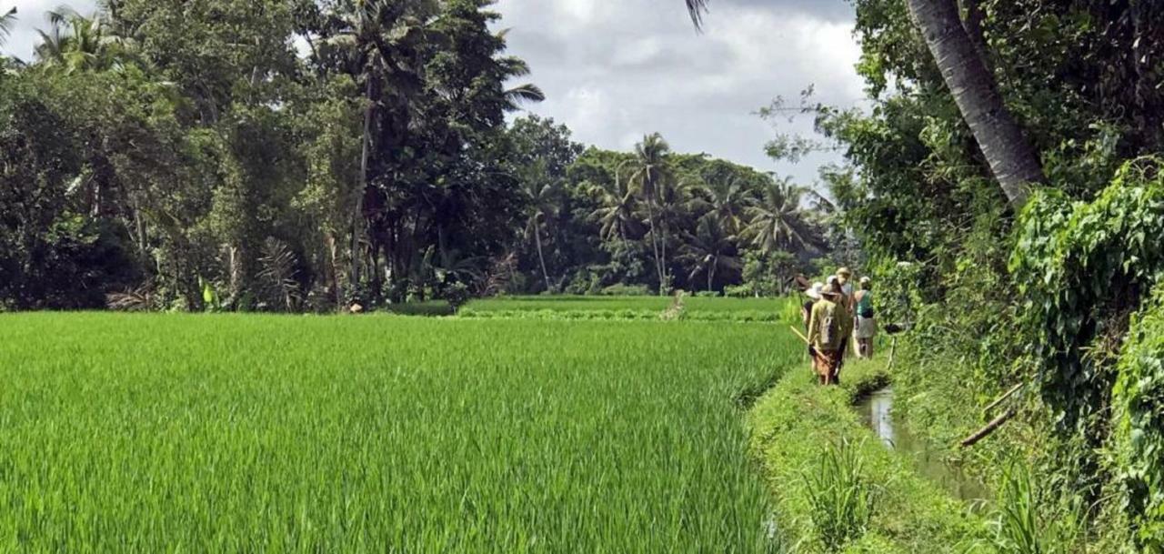 Hotel Kubu Jamu à Ubud Extérieur photo